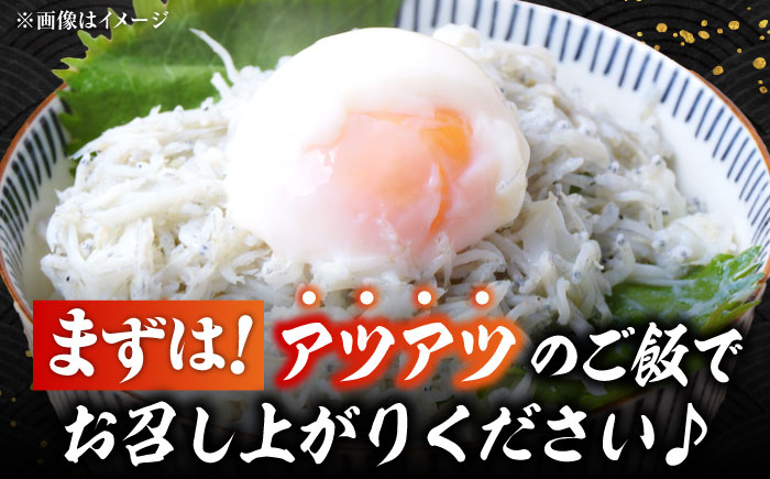 しらす 冷凍 シラス 小分け パック 釜揚げ 冷凍 魚介類 鮮魚 海鮮 海産物