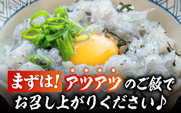 しらす 冷凍 シラス 小分け パック 釜揚げ 冷凍 魚介類 鮮魚 海鮮 海産物