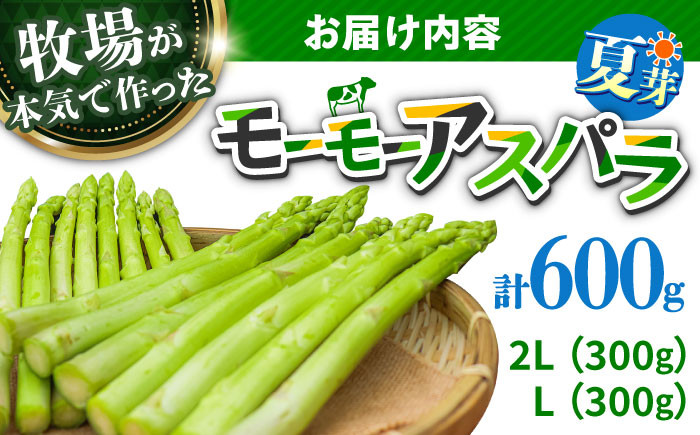 アスパラガス アスパラ 野菜 やさい 期間限定 食べ比べ