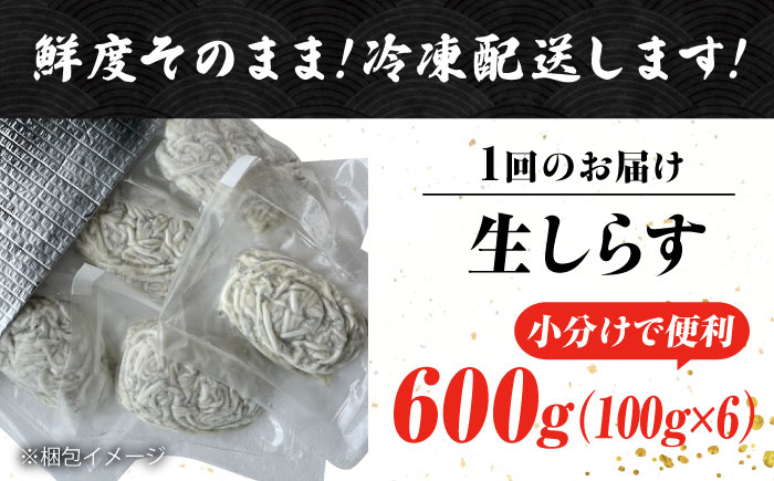 しらす 冷凍 シラス 小分け パック 釜揚げ 冷凍 魚介類 鮮魚 海鮮 海産物