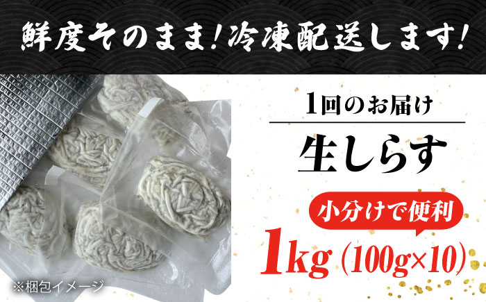 しらす 冷凍 シラス 小分け パック 釜揚げ 冷凍 魚介類 鮮魚 海鮮 海産物