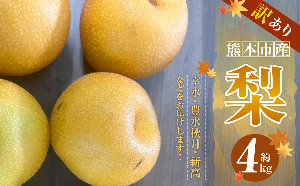 熊本市産 梨 （幸水・豊水・秋月・新高など）