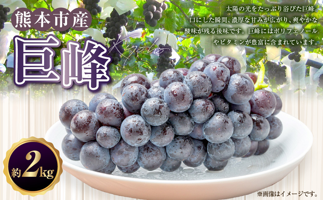 巨峰 約 2kg