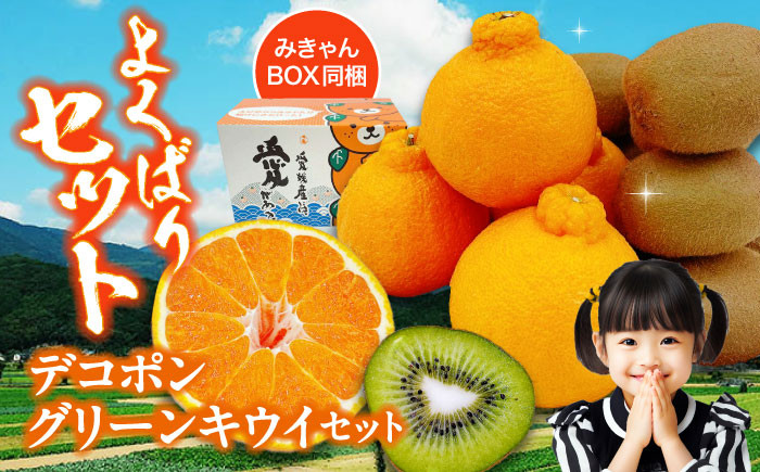 デコポンとグリーンキウイのセット