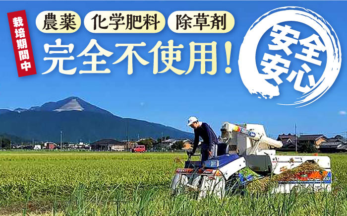 七神氣こしひかり (有機栽培) 白米 5kg米 お米 白米  5kg