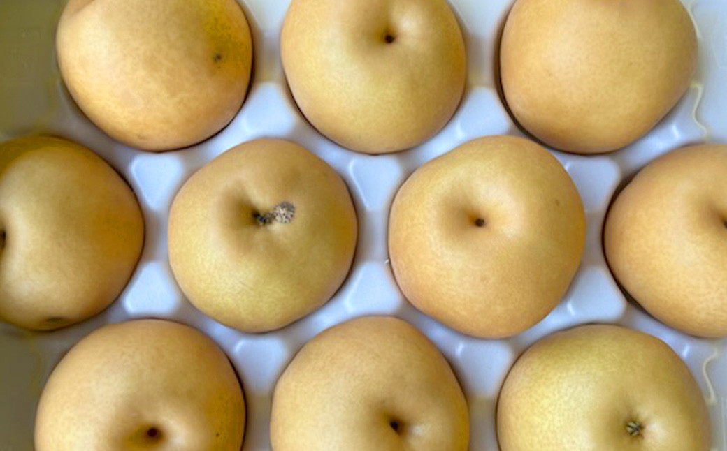 熊本市産 梨 （幸水・豊水・秋月・新高など）