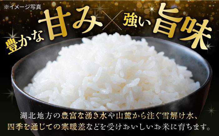 七神氣こしひかり (有機栽培) 白米 5kg米 お米 白米  5kg