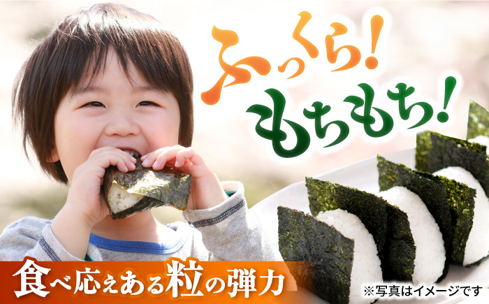 七神氣こしひかり (有機栽培) 白米 5kg米 お米 白米  5kg