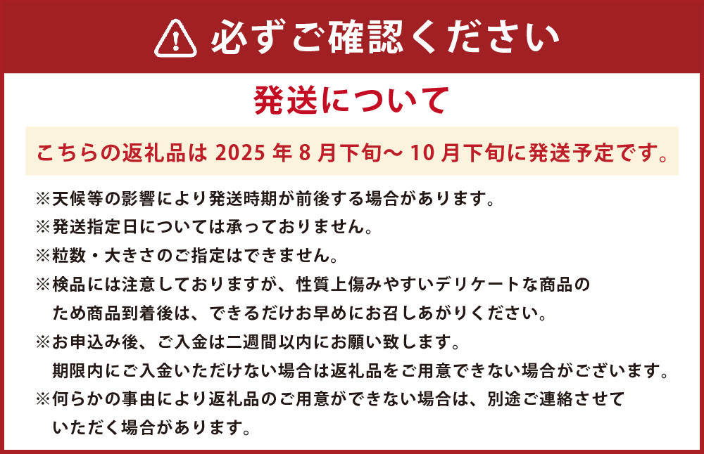 熊本市産 梨 （幸水・豊水・秋月・新高など）
