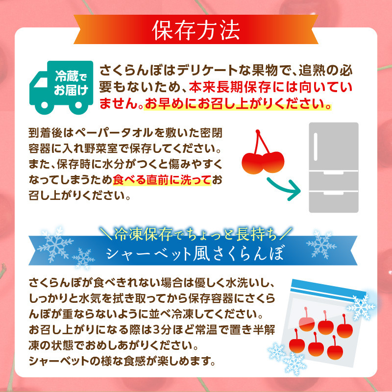 《先行受付》さくらんぼ 佐藤錦 500g 特秀品 Lサイズ 化粧箱入【2026年6月中旬頃～発送予定】【山形県産さくらんぼ】