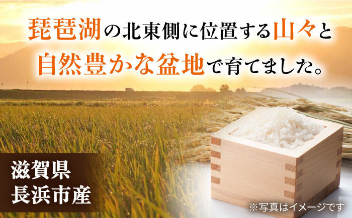 七神氣こしひかり (有機栽培) 白米 10kg米 お米 コメ 白米  10kg