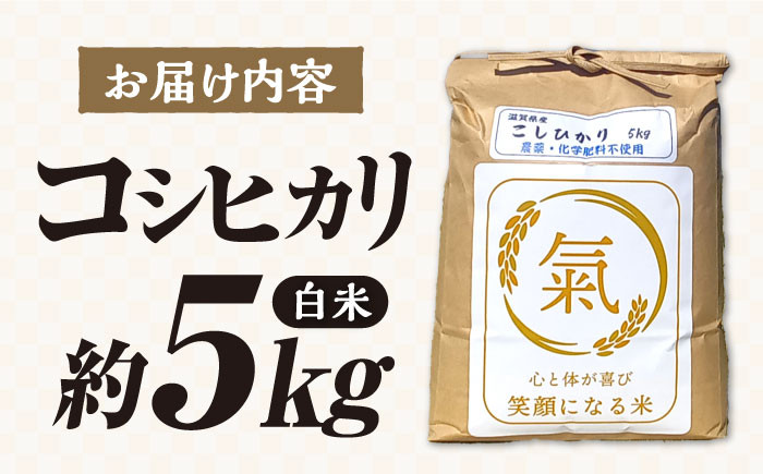 七神氣こしひかり (有機栽培) 白米 5kg米 お米 白米  5kg