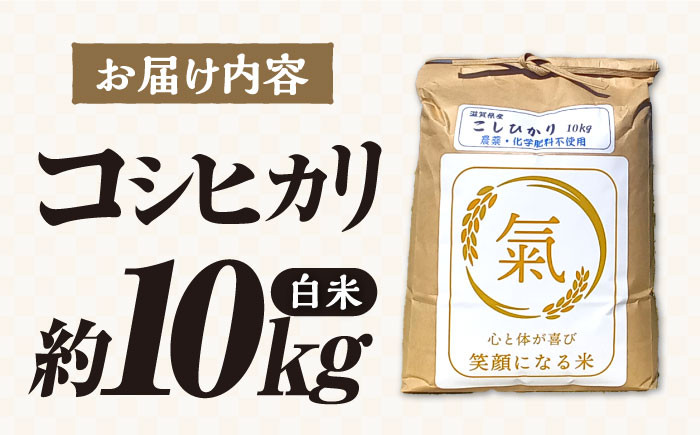 七神氣こしひかり (有機栽培) 白米 10kg米 お米 コメ 白米  10kg