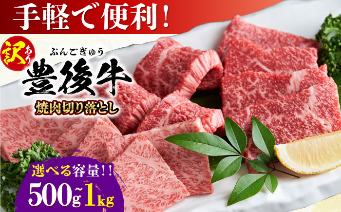 訳あり 牛肉 おおいた豊後牛 おおいた 豊後牛 黒毛和牛 国産  焼肉 焼肉用