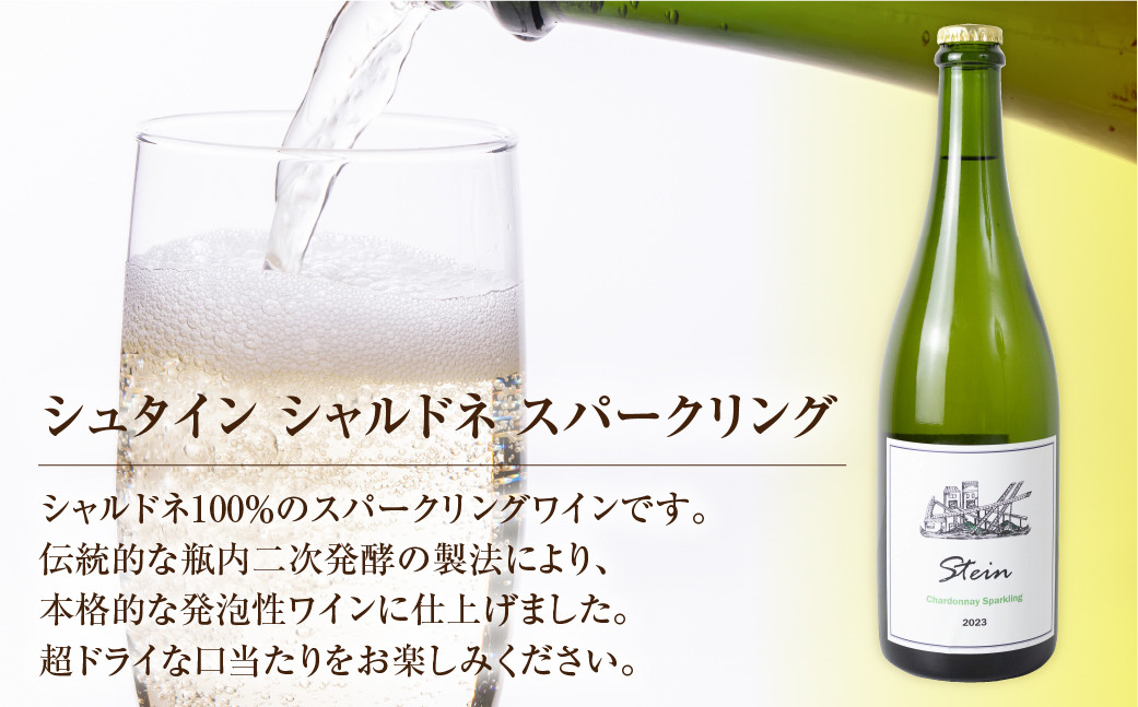 シュタイン カベルネソーヴィニヨン　赤辛口（720ｍｌ）2022年
