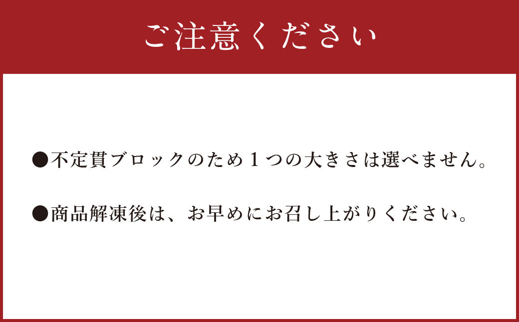 【フジチク ふじ馬刺し】馬刺し 上赤身 800g