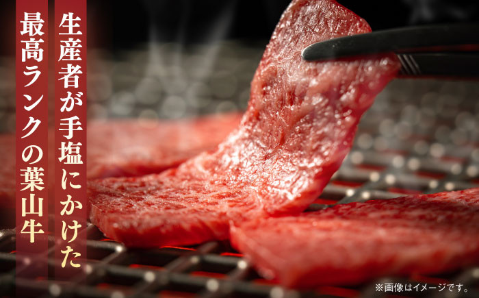 牛肉 A5 黒毛和牛 ロース 焼肉 焼肉用 おすすめ 和牛 A5 神奈川県 葉山町 国産 牛肉 葉山牛