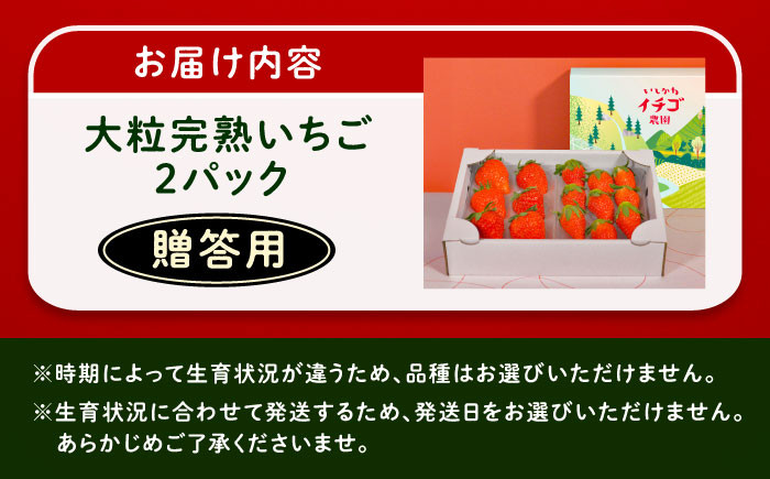 いちご イチゴ 苺 フルーツ 果物 完熟 完熟いちご 贈答用 産地直送 新鮮 贈答 ギフト おすすめ 人気 岐阜県 恵那市