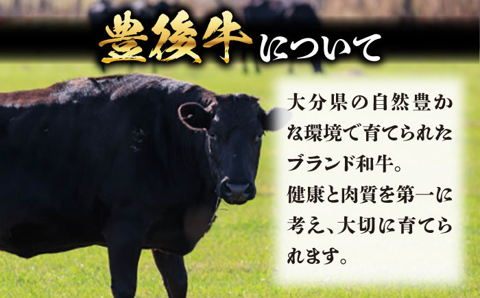 訳あり 牛肉 おおいた豊後牛 おおいた 豊後牛 黒毛和牛 モモ もも ローストビーフ ブロック ロースト 赤身ブロック ステーキ