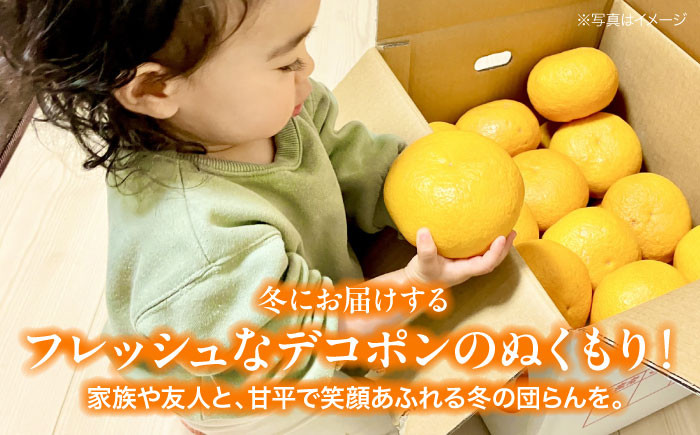 「デコポン」Lサイズ 8個