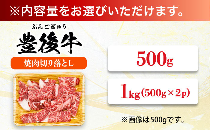 訳あり 牛肉 おおいた豊後牛 おおいた 豊後牛 黒毛和牛 国産  焼肉 焼肉用