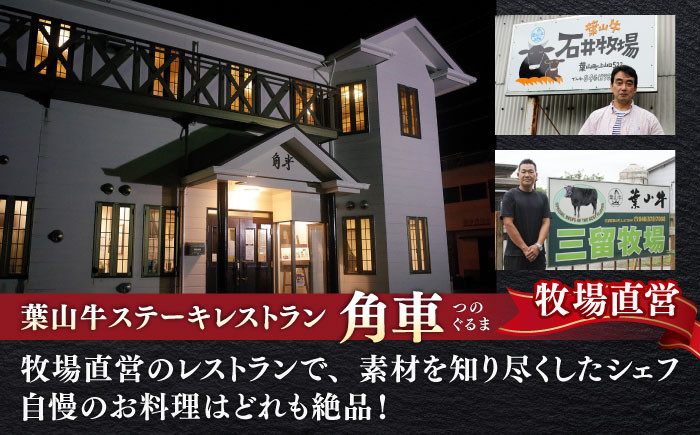 A5 黒毛和牛 1キロ サーロイン ステーキ 冷凍 人気 おすすめ 赤身 国産 葉山牛