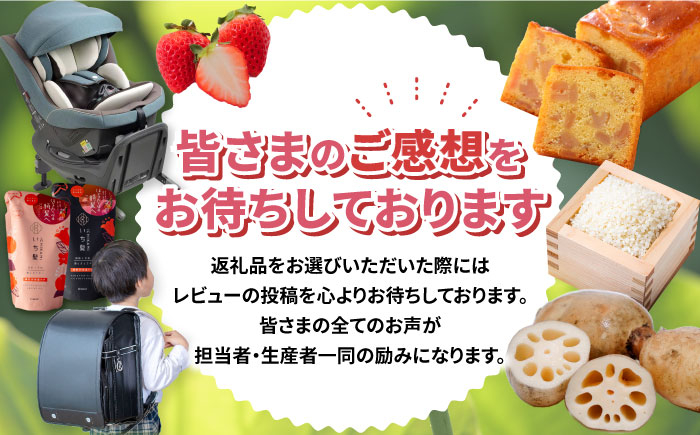 米 お米 10kg 10キロ 定期便 白米 精米 新米 愛知県 国産 コシヒカリ