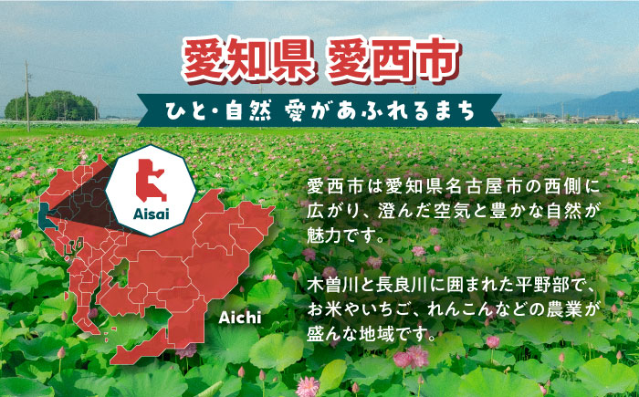 米 お米 10kg 10キロ 定期便 白米 精米 新米 愛知県 あいちのかおり