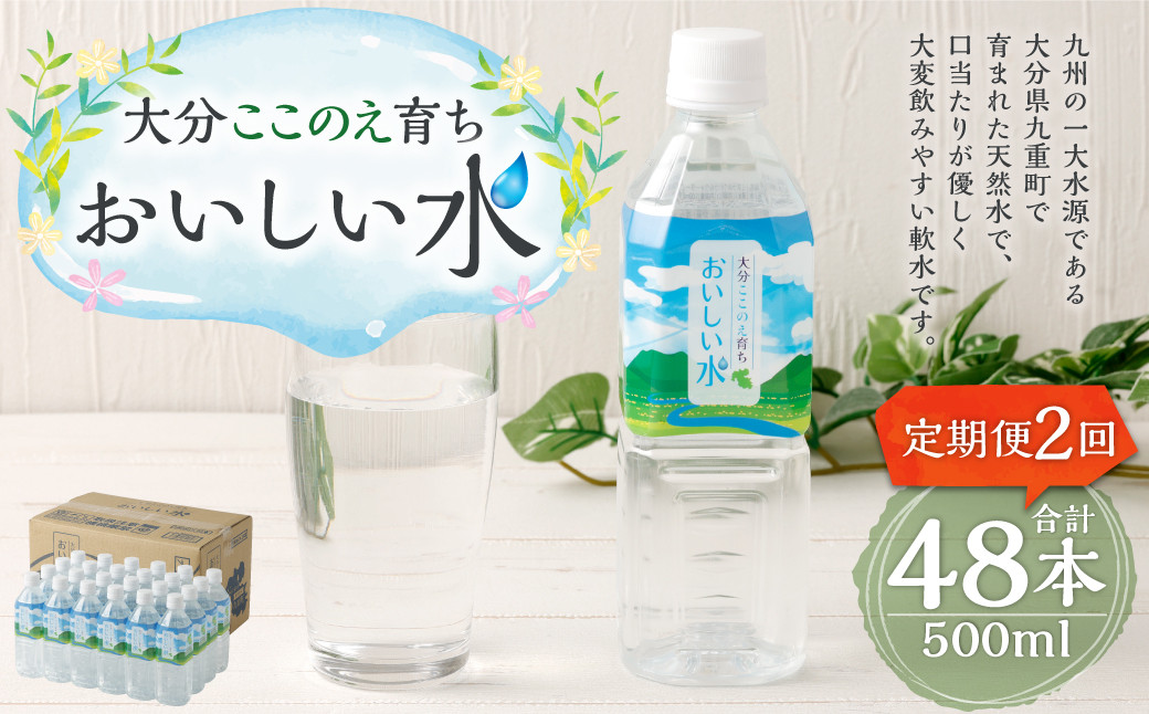 【2ヶ月定期便】大分 ここのえ育ち おいしい 水 500ml×24本 合計48本