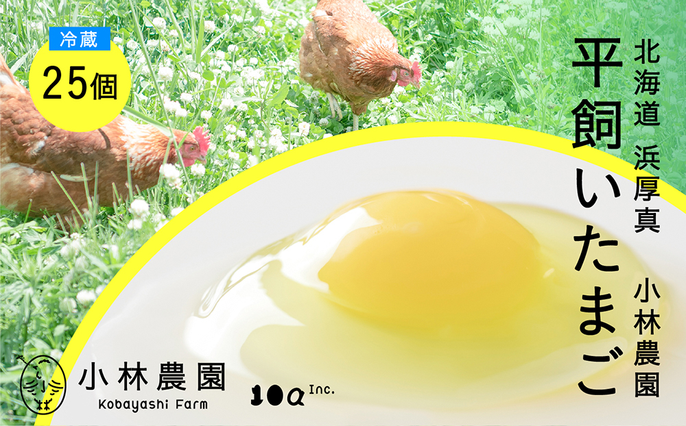 たまご 卵 鶏卵 玉子 生卵 平飼い 北海道 定期便 