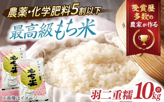滋賀県産【特別栽培米】羽二重糯（はぶたえもち）5kg×2　米 お米 もち米 餅米 10kg 糯米 もちごめ 人気 おすすめ 滋賀