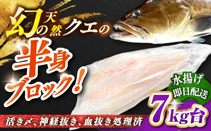 おすすめ オススメ こだわり ギフト 人気 特産品 贈り物 ギフト くえ クエ 