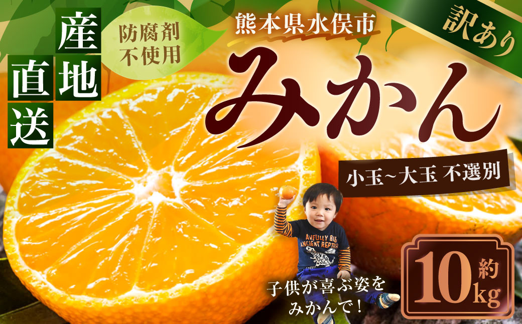 訳ありみかん 約10kg