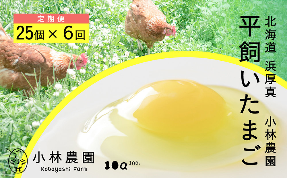 たまご 卵 鶏卵 玉子 生卵 平飼い 北海道 定期便