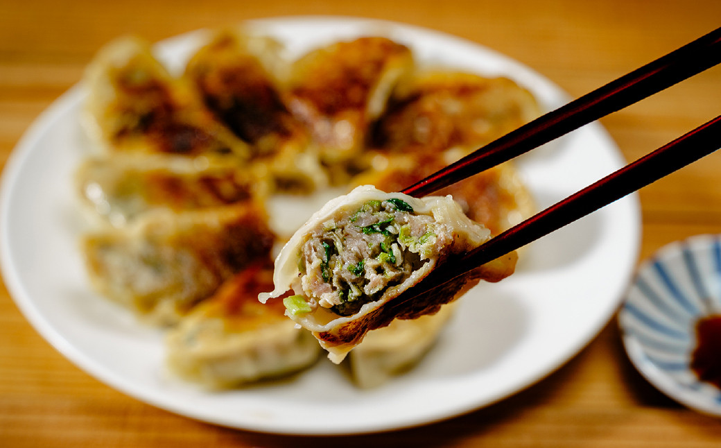 大きめサイズの餃子