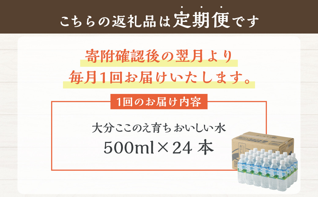 【2ヶ月定期便】大分 ここのえ育ち おいしい 水 500ml×24本 合計48本