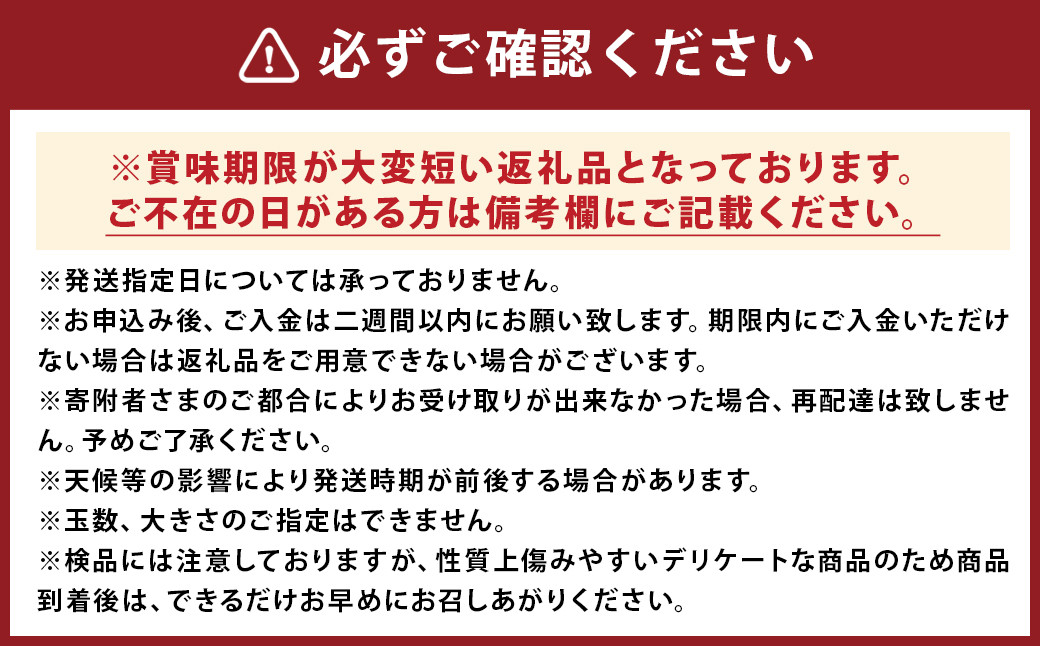 ひのしずく 平詰 秀/3L 1箱（約250g×2パック）