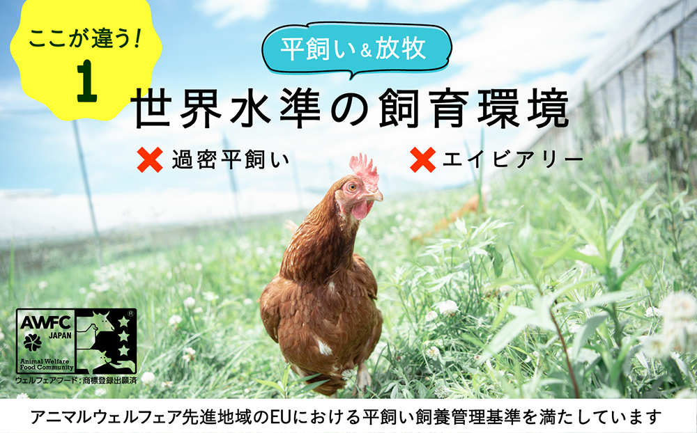 たまご 卵 鶏卵 玉子 生卵 平飼い 北海道 定期便 