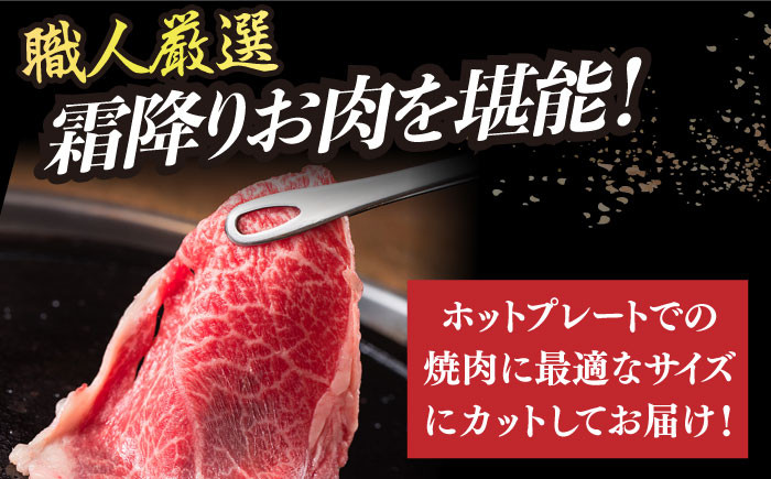 12回定期便 長崎和牛 霜降り肉 約1kg 焼肉用