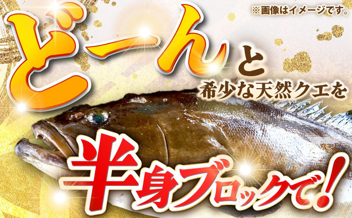 おすすめ オススメ こだわり ギフト 人気 特産品 贈り物 ギフト くえ クエ 