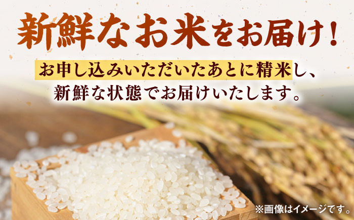 農家直送！15年連続特A評価「さがびより」を食卓へお届け！