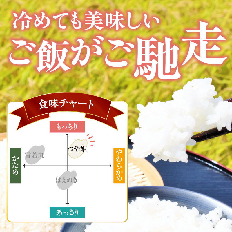 《6ヶ月定期便》大江町産 つや姫 5kg×6ヶ月(計30kg)【山形県産 特別栽培米】