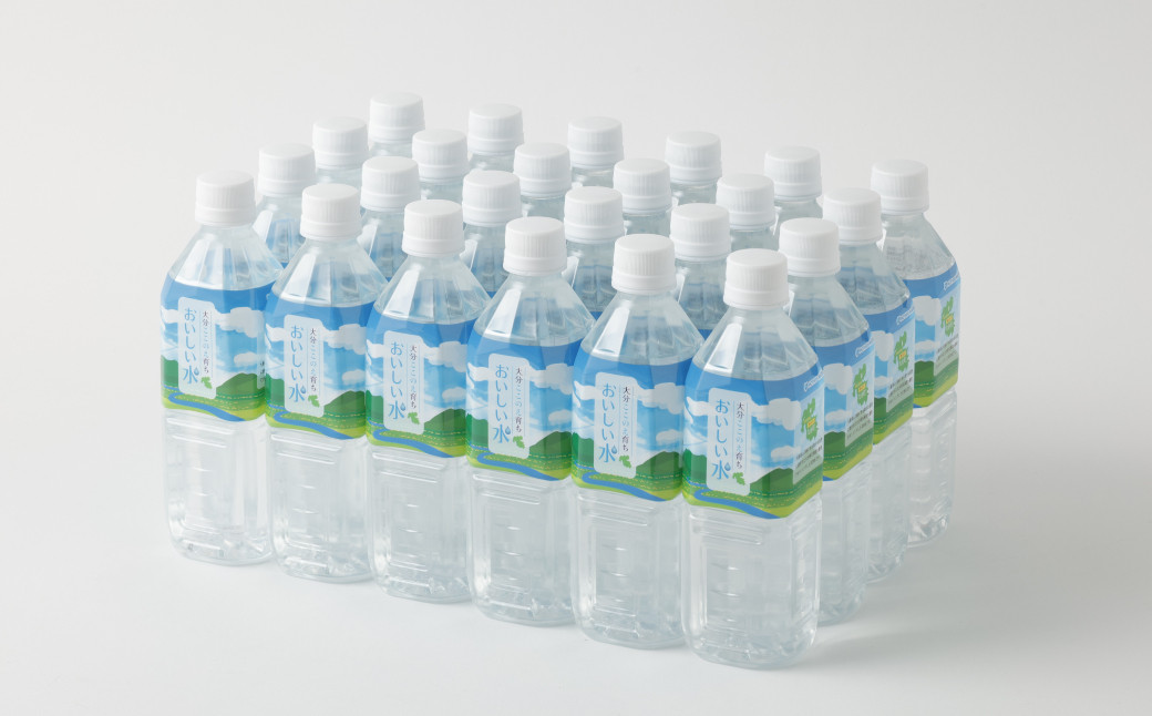 【2ヶ月定期便】大分 ここのえ育ち おいしい 水 500ml×24本 合計48本