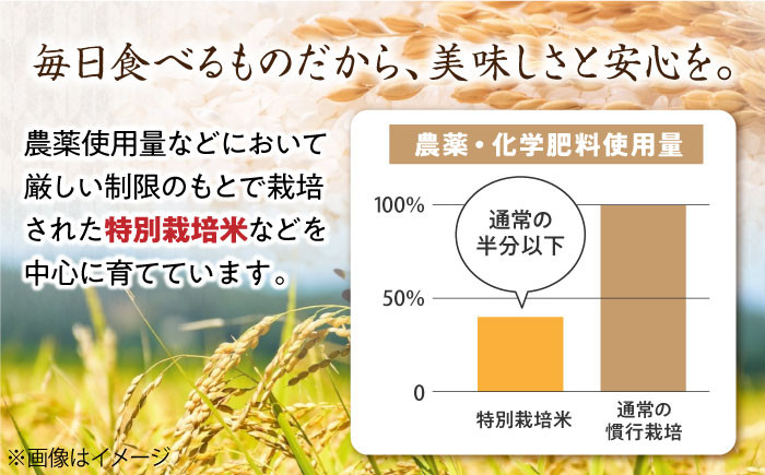 滋賀県産【特別栽培米】羽二重糯（はぶたえもち）5kg米 お米 もち米 餅米 5kg