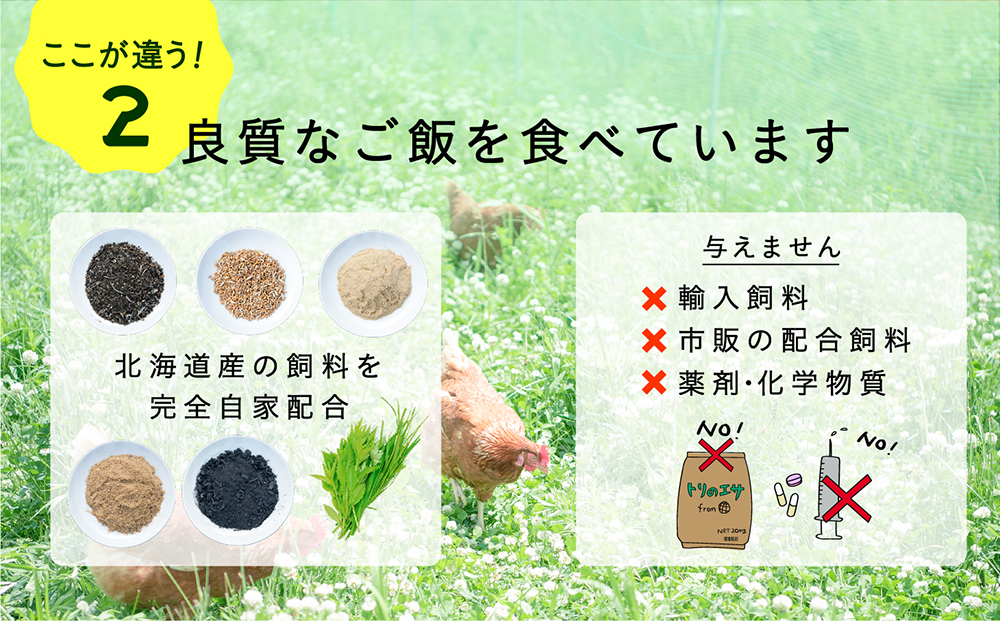 たまご 卵 鶏卵 玉子 生卵 平飼い 北海道 定期便 