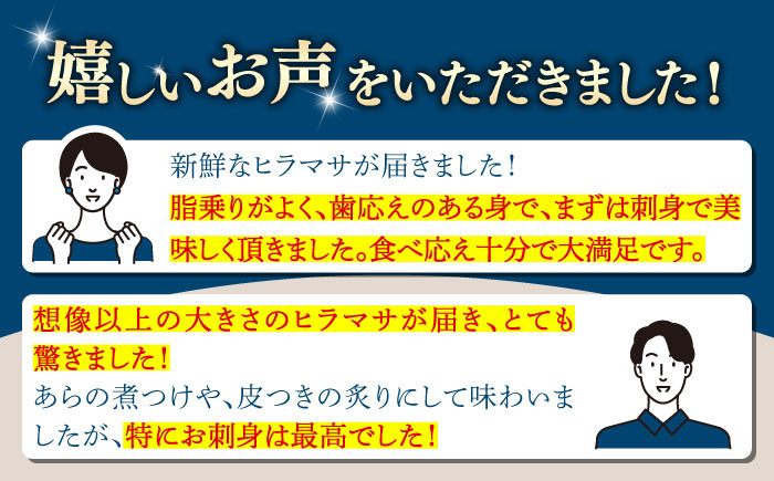人気 おすすめ オススメ ヒラマサ ひらまさ 天然 煮物 カルパッチョ お寿司 