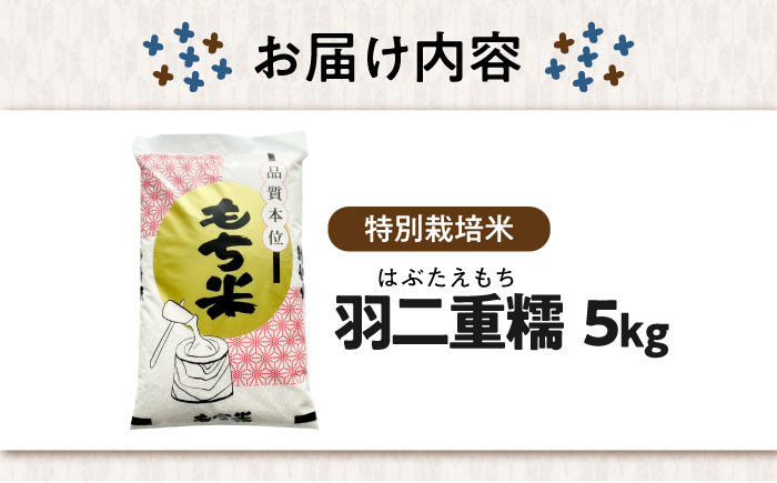 滋賀県産【特別栽培米】羽二重糯（はぶたえもち）5kg米 お米 もち米 餅米 5kg