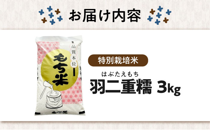 滋賀県産【特別栽培米】羽二重糯 3kg | 米 お米 もち米 餅米 3kg 羽二重餅 餅米 もち お餅