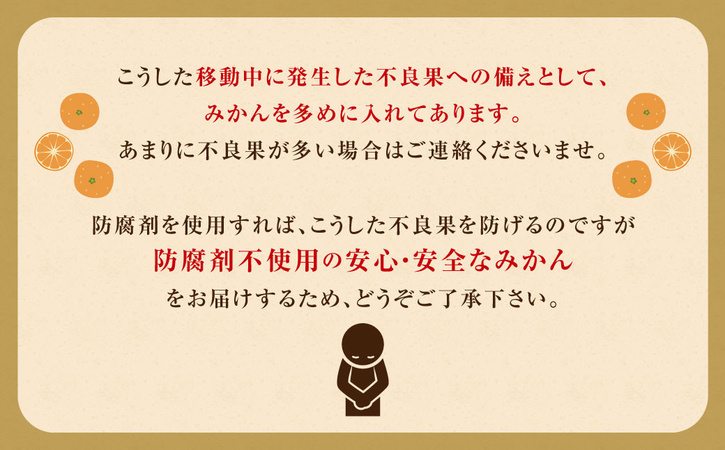 訳ありみかん 約10kg