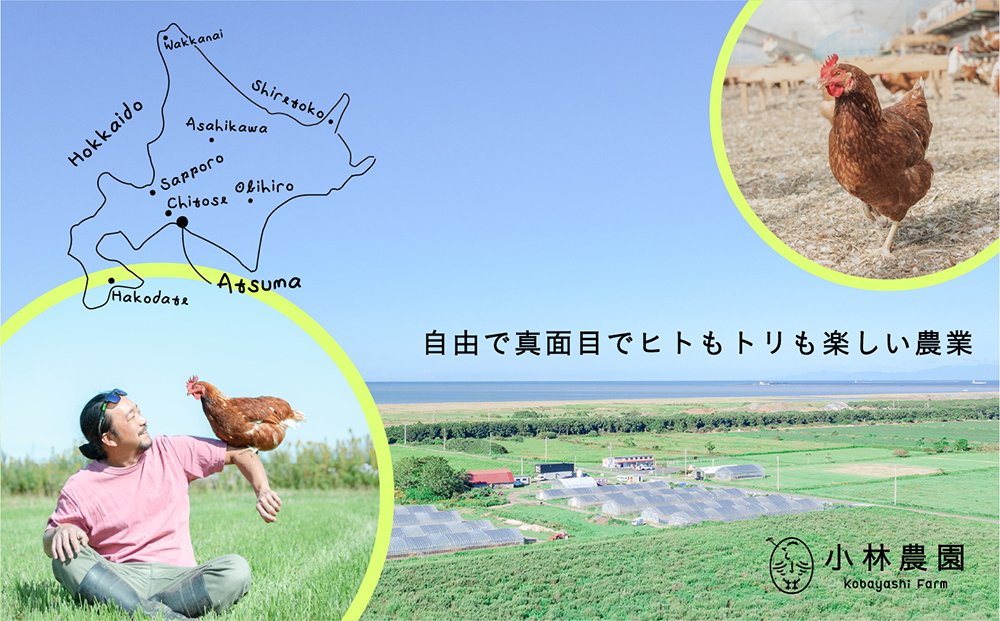 たまご 卵 鶏卵 玉子 生卵 平飼い 北海道 定期便